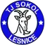 TJ Sokol Lesnice