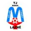 Sokol Velké Losiny