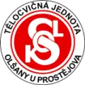 Sokol Olšany "B"