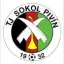 Sokol v Pivíně